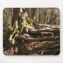 Tree Roots ~ mousepad