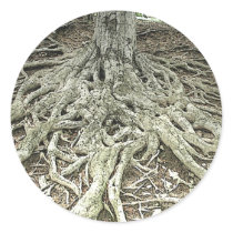 Tree Roots Round Sticker