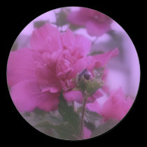 Tree Rose Of Sharon stickers