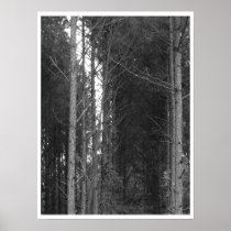 Tree row print