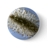 Tree Seed buttons