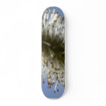 Tree Seed skateboards