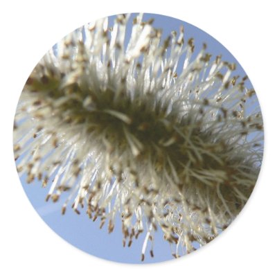 Tree Seed Stickers by lifesphere