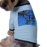 tree  silhouette pet clothing