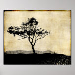 Tree Silhouette Photo Art Poster