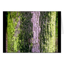 Tree Skins Greeting Cards