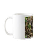 Tree Sparrow with Chicks Coffee Mugs