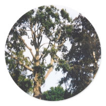 Tree Sticker
