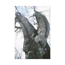 Tree Stretched Canvas Print