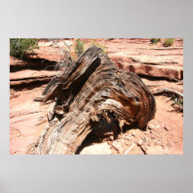 Tree Stump in Moab Print