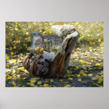 Tree Stump Poster