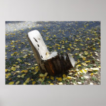 Tree Stump Poster