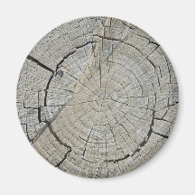 Tree Stump Refrigerator Magnet