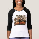 Tree, SUNSHINE ON MY SHOULDERS MAKES ME HAPPY t-shirts