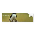 Tree Swallow Bumper Sticker