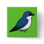 Tree Swallow buttons