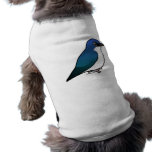 Tree Swallow pet clothing