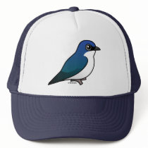 Tree Swallow