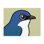 Tree Swallow postcards