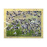 Tree Swallows, Assateague Island Post Cards