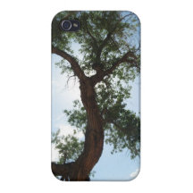 Tree tops iPhone 4/4S cases