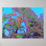 tree tops posters