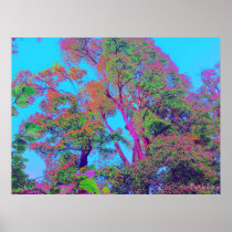tree tops poster