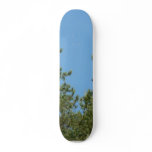 Tree Tops skateboards