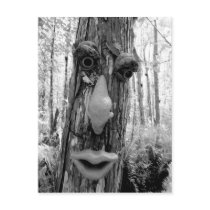 Tree troll on a Big Cypress tree.