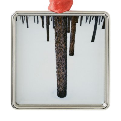 Tree Trunks in Snow Christmas Tree Ornament