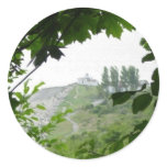 Tree Window stickers