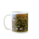 Tree With Falling Leaves In Autumn mugs