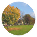 Tree With Falling Leaves In Autumn stickers