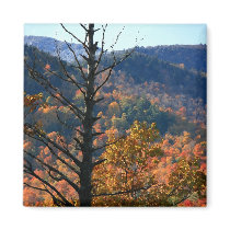 Tree with mountains - Adirondacks magnet