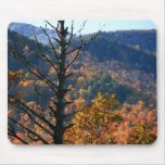 Tree with mountains - Adirondacks  mouse pad