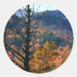 Tree with mountains - Adirondacks stickers