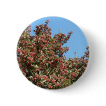 Tree With Red Berries buttons
