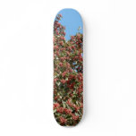 Tree With Red Berries skateboards