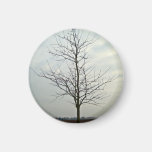 Tree without leaves against the blue sky refrigerator magnet