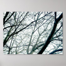 Treefolk on Heavyweight Matte Paper Posters