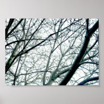 Treefolk on Heavyweight Matte Paper Posters