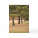 Treeline cards