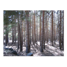 Trees Alpujarra Valley Andalusia Spain Postcards