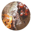 Trees Amber Sap stickers