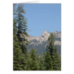 trees and mountains cards
