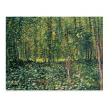 Trees and Undergrowth, 1887 Post Cards