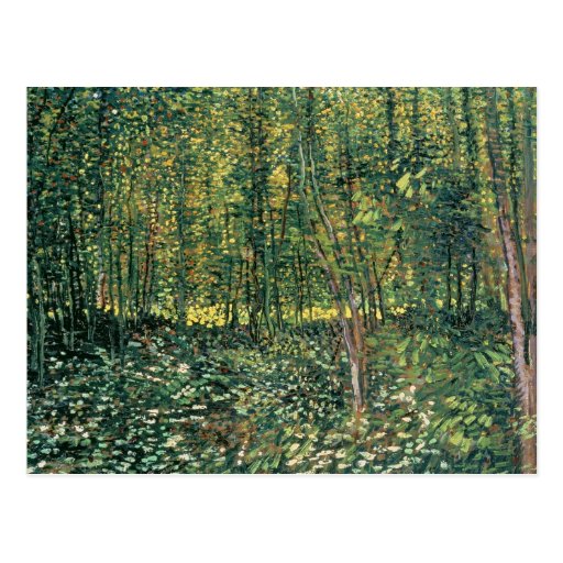 Trees and Undergrowth, 1887 Post Cards