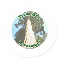 Trees are Awesome!