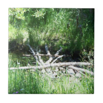 Trees, brach bridge ceramic tile