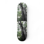 Trees by Erin Summer skateboards
